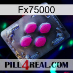 Fx75000 02